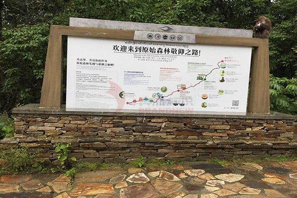 導視系統 導視系統